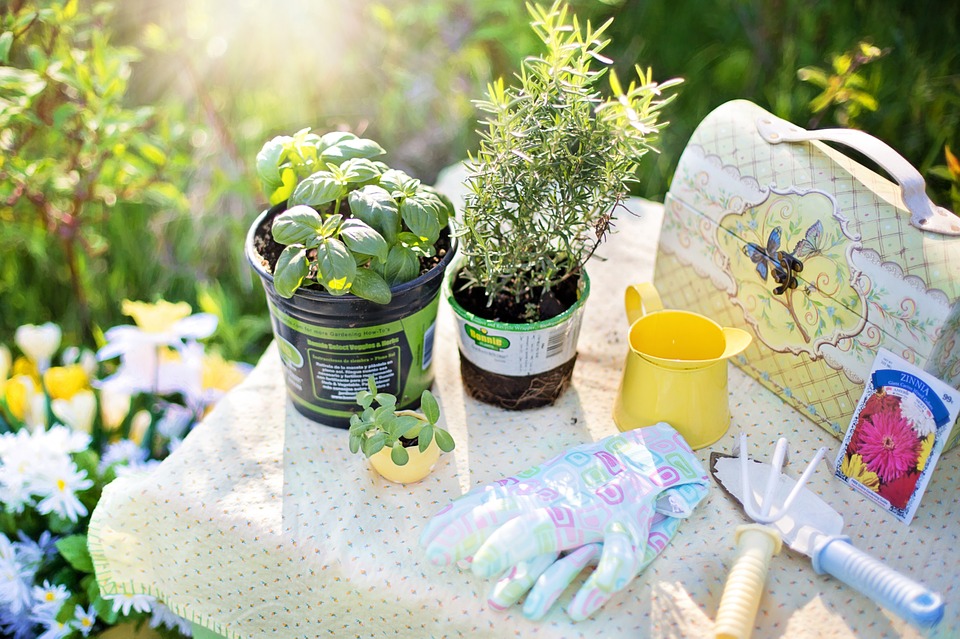 planting-780736_960_720