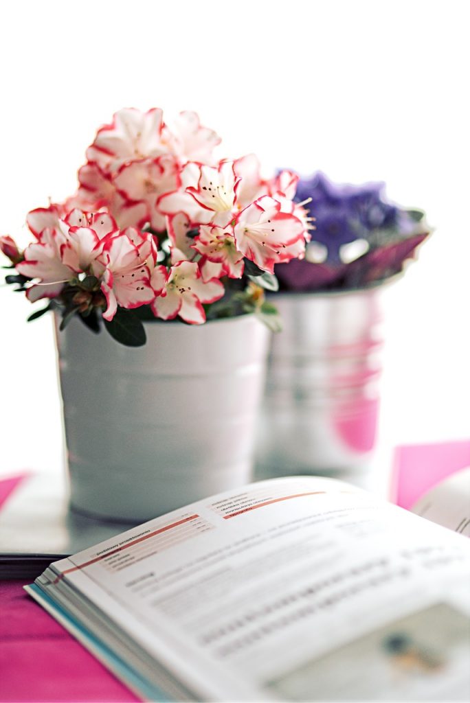 azalea-791912_1280