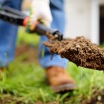 Lucrări pentru grădina de făcut în decembrie