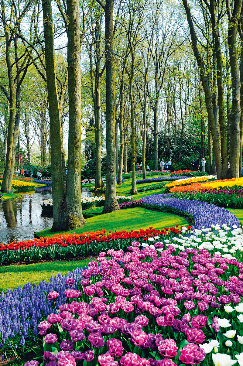 keukenhof-1