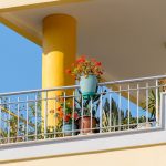 plante pentru balcon nordic
