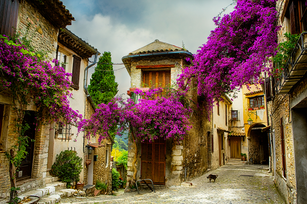 casa-de-la-tara
