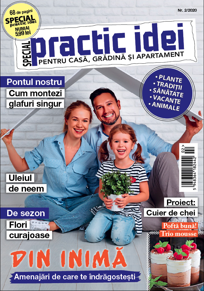 coperta PIS 2/2020