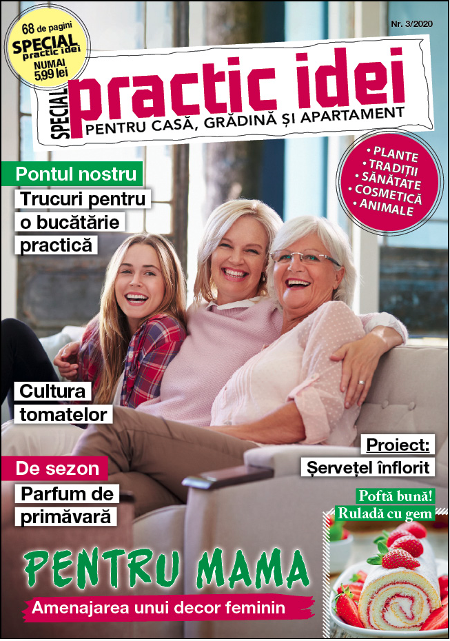 revista Practic
