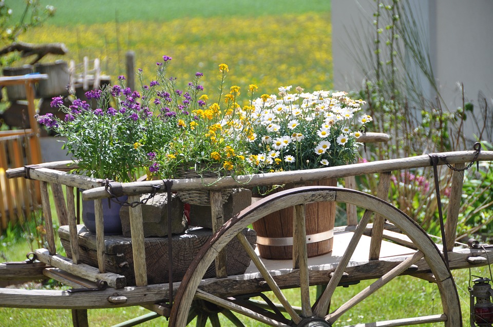rustic în grădină