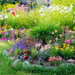 gradina care se intretine singura